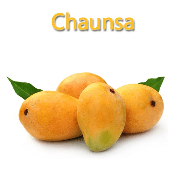 White Chaunsa Mango 1KG