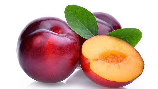 Plum (Alu Bukhara) 1 Pack